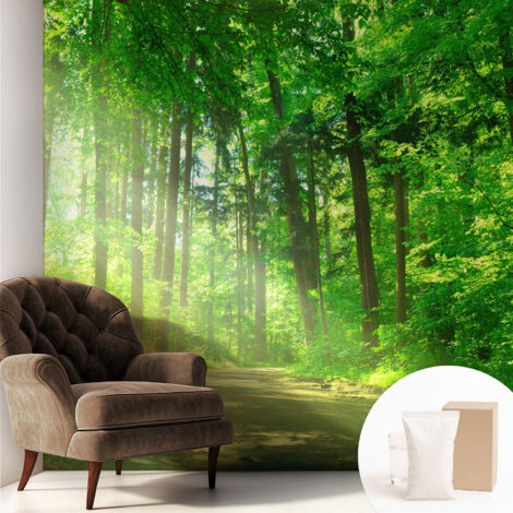 Papier peint intissé pour salon chambre à coucher peint imprimé Installation facile - Colle incluse gratuite Sentier forestier 250x250 cm