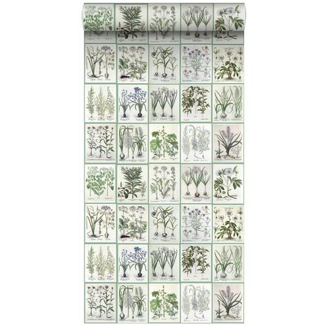 papier peint intissé XXL pages d'un livre botanique avec fleurs et plantes vert  - ESTAhome