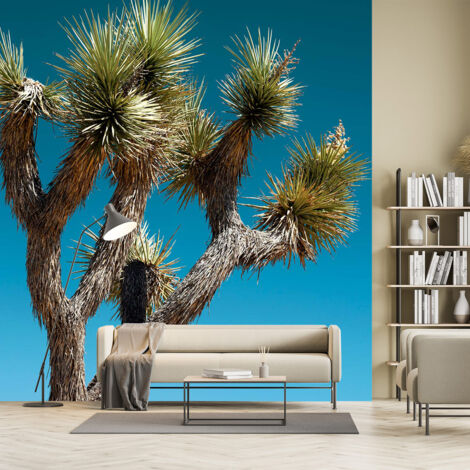 Papier peint jungle cactus geant papier peint