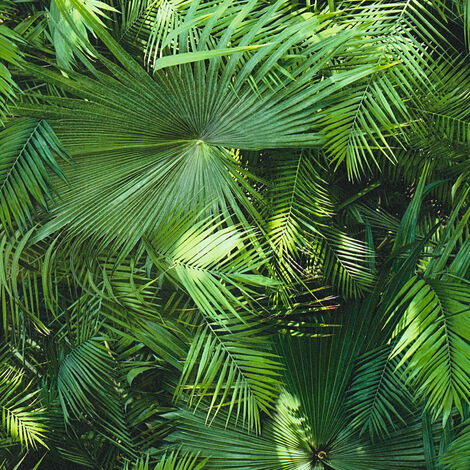 Papier peint jungle Papier peint tropical Papier peint exotique Tapisserie jungle Tapisserie tropicale Vert Anthracite 362001 - 10,05 x 0,53 m