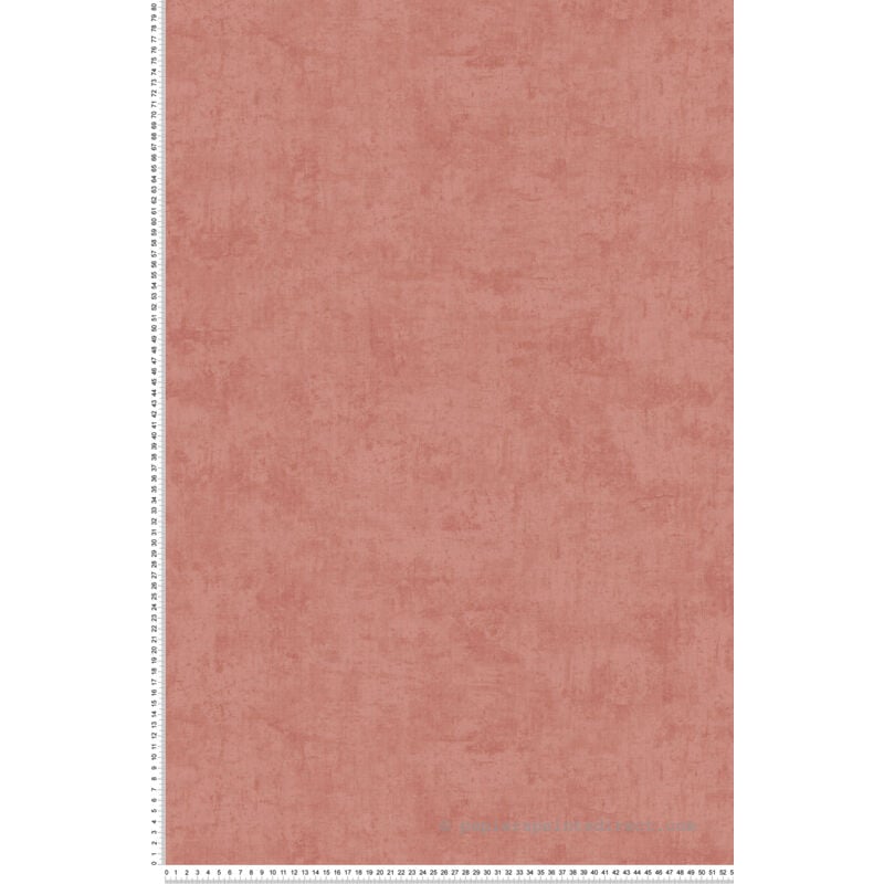 Papier peint Lilly & Luis - AS-771795