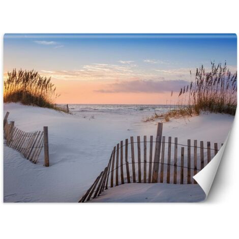 Papier peint Mer Plage Dunes Sable 450x315