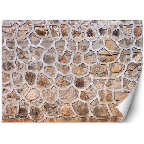 Papier peint Mur de pierre vintage 350x245