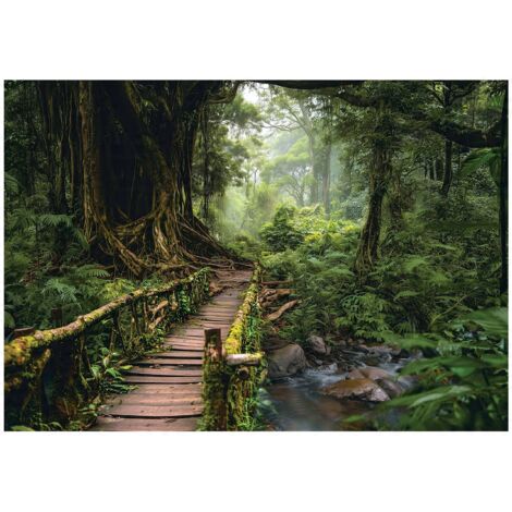 Papier peint mural arbres 3D chemin forêt nature intissé grand format design intérieur salon chambre pas cher 400x280 cm