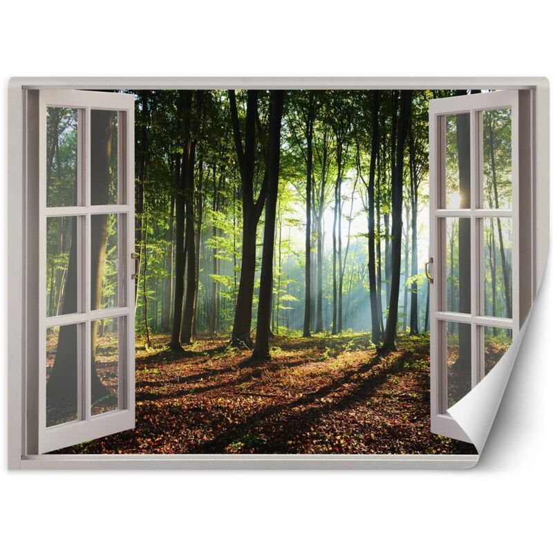 Papier peint mural, Fenêtre forêt arbres nature - 140x100