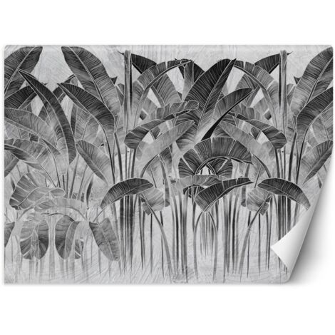Papier peint mural, Feuilles de bananier noir et blanc - 200x140