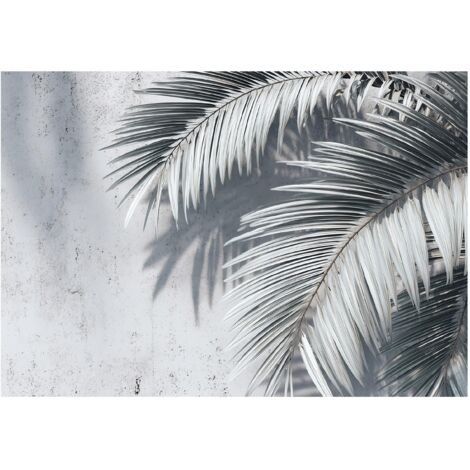 Papier peint mural feuilles de palmier béton intissé grand format design intérieur salon chambre pas cher 150x105 cm