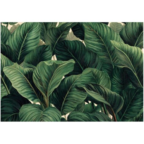 Papier peint mural feuilles jungle vertes intissé grand format design intérieur salon chambre pas cher 150x105 cm