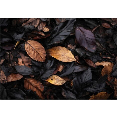 Papier peint mural feuilles nature noir intissé grand format design intérieur salon chambre pas cher 150x105 cm