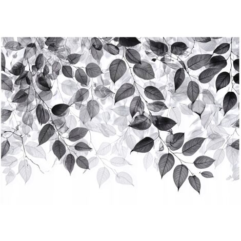 Papier peint mural feuilles noir blanc suspendues intissé grand format design intérieur salon chambre pas cher 150x105 cm