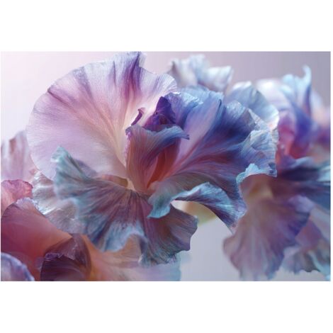 Papier peint mural fleurs abstraites intissé grand format design intérieur salon chambre pas cher 400x280 cm