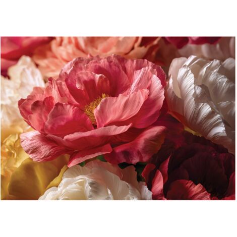 Papier peint mural fleurs pivoines roses intissé grand format design intérieur salon chambre pas cher 200x140 cm