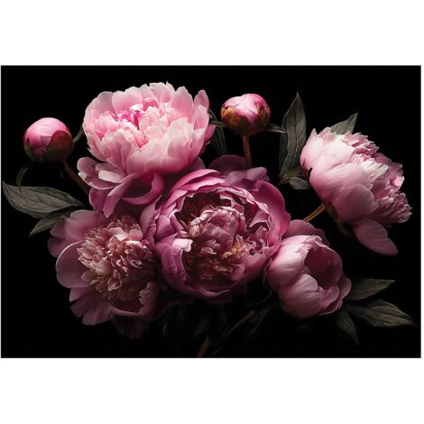 Papier peint mural fleurs pivoines roses intissé grand format design intérieur salon chambre pas cher 350x250 cm