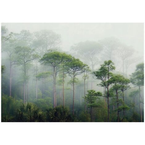 Papier peint mural forêt 3D arbres brume verte intissé grand format design intérieur salon chambre pas cher 300x210 cm