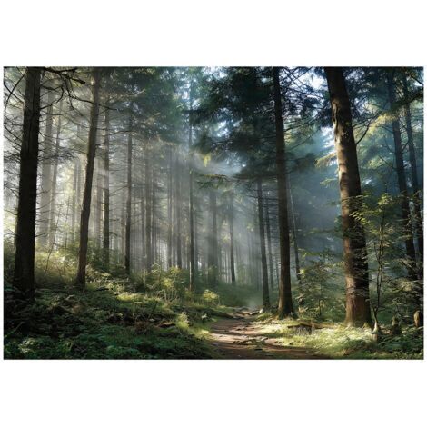Papier peint mural forêt 3D arbres nature paysage intissé grand format design intérieur salon chambre pas cher 400x280 cm
