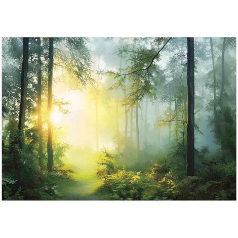 Papier peint mural forêt 3D arbres soleil nature intissé grand format design intérieur salon chambre pas cher 150x105 cm