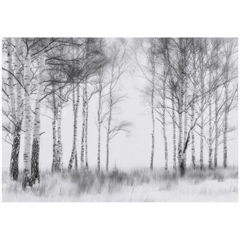 Papier peint mural forêt 3D noir blanc arbres intissé grand format design intérieur salon chambre pas cher 200x140 cm