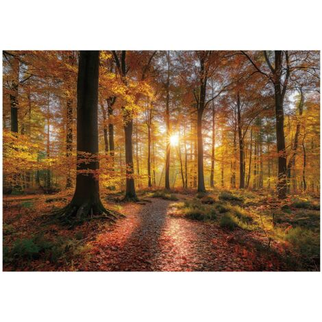 Papier peint mural forêt arbres nature intissé grand format design intérieur salon chambre pas cher 200x140 cm
