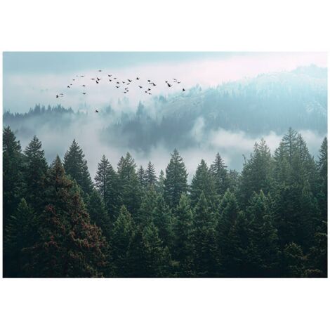 Papier peint mural forêt brume 3D arbres nature intissé grand format design intérieur salon chambre pas cher 150x105 cm