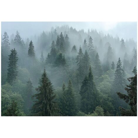 Papier peint mural forêt brume arbres 3D nature intissé grand format design intérieur salon chambre pas cher 150x105 cm