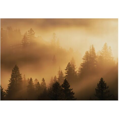 Papier peint mural forêt dans la brume beige 3D intissé grand format design intérieur salon chambre pas cher 150x105 cm