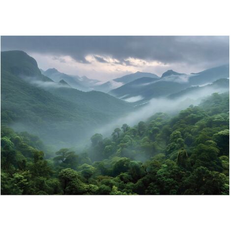 Papier peint mural forêt montagnes brume nature intissé grand format design intérieur salon chambre pas cher 350x250 cm
