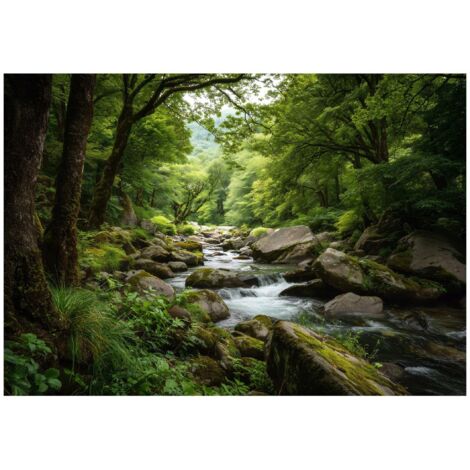 Papier peint mural forêt nature 3D ruisseau intissé grand format design intérieur salon chambre pas cher 150x105 cm