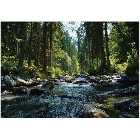 Papier peint mural forêt rivière paysage intissé grand format design intérieur salon chambre pas cher 150x105 cm
