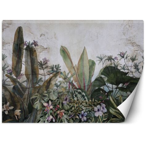 Papier peint mural, Monstera laisse mur en béton - 100x70