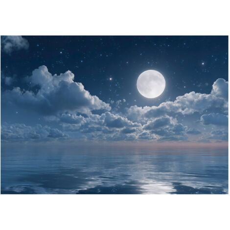 Papier peint mural océan nuit lune intissé grand format design intérieur salon chambre pas cher 400x280 cm
