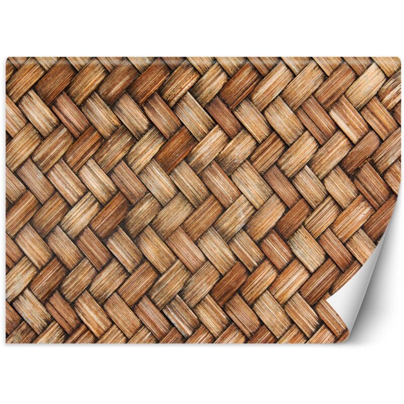 Papier peint mural, Osier - 200x140
