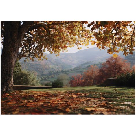 Papier peint mural paysage arbres nature intissé grand format design intérieur salon chambre pas cher 200x140 cm