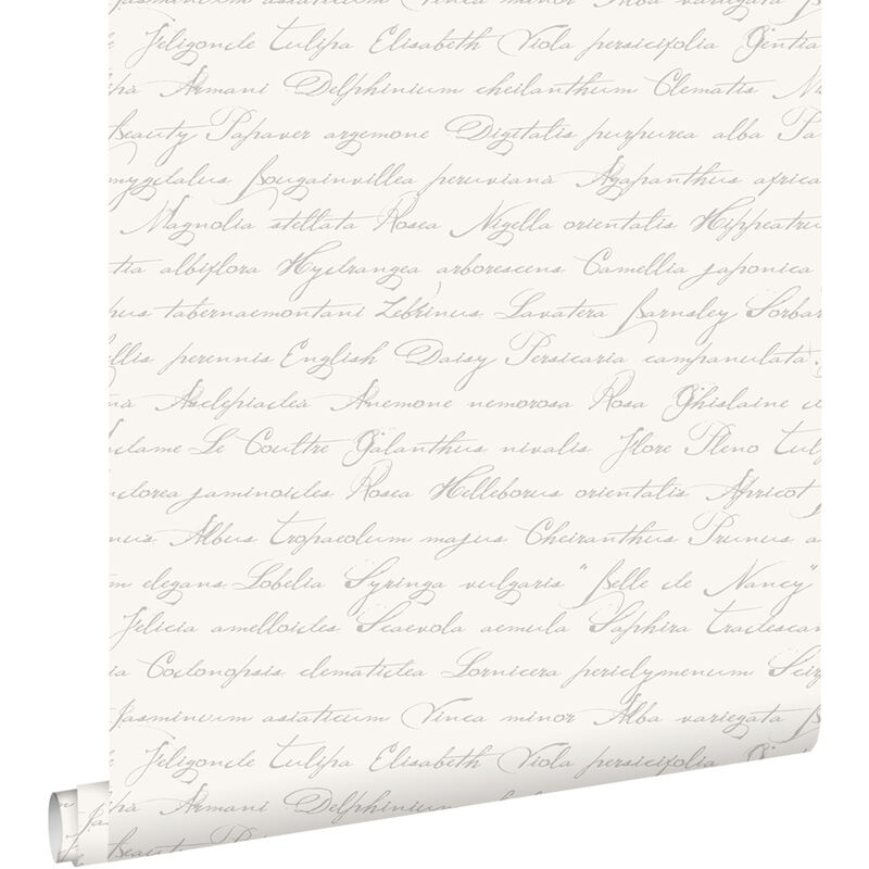 Papier peint noms de fleurs manuscrits en latin argent Estahome