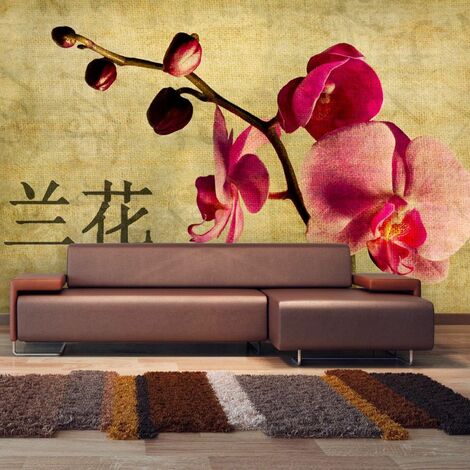 Papier peint orchidée japonaise - 450 x 270 cm - Beige et Rose