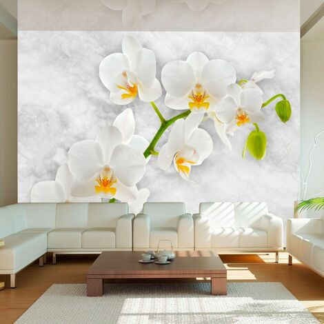 Papier peint orchidée lyrique blanche - 400 x 280 cm - Blanc, gris, vert