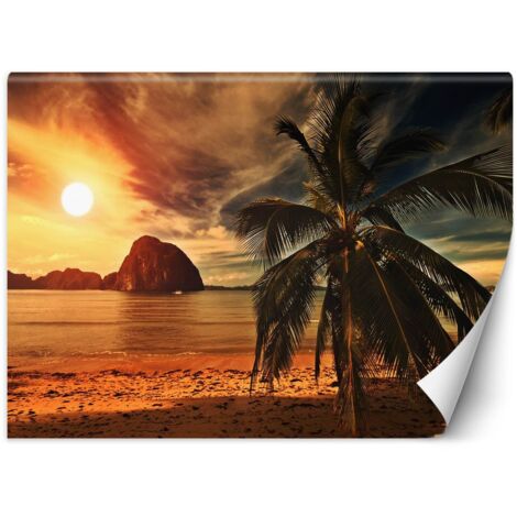 Papier peint Palmiers Mer tropicale Coucher de soleil 250x175
