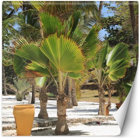 Papier peint Palmiers sur une plage tropicale 300x300