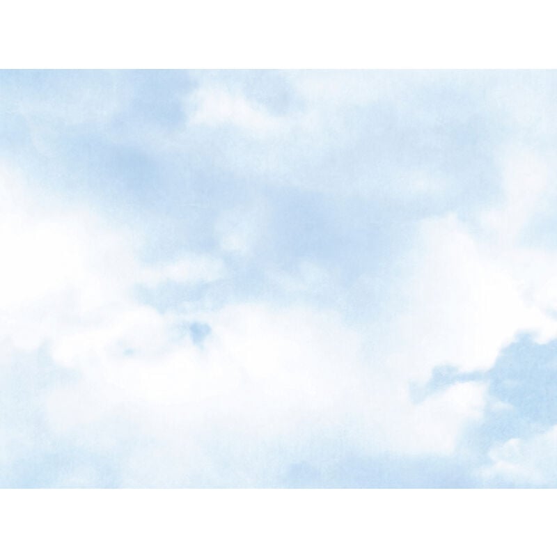 Panoramique The Wall - AS-382281