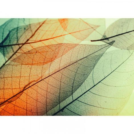 Papier peint panoramique design motif feuille Tapisserie panoramique nature bleue et orange Papier peint panoramique originale pour chambre