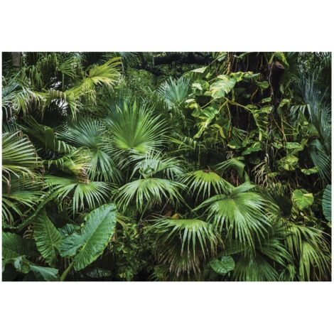 Papier peint panoramique feuilles de jungle forêt tropicale décoration murale – 150 x 105 cm Wallarena
