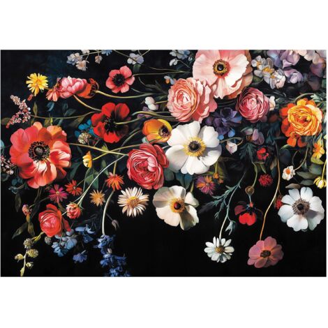 Papier peint panoramique fleurs des champs fond noir 150x105 cm mural salon chambre petit format