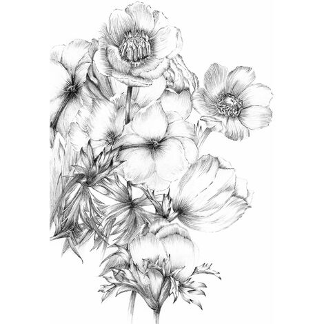 papier peint panoramique fleurs noir et blanc  - Komar