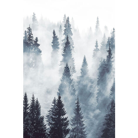 Papier peint panoramique forêt brumeuse - 1,86 x 2,79 m de ESTAhome - vert