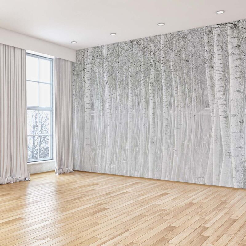 Papier peint panoramique foret de bouleaux