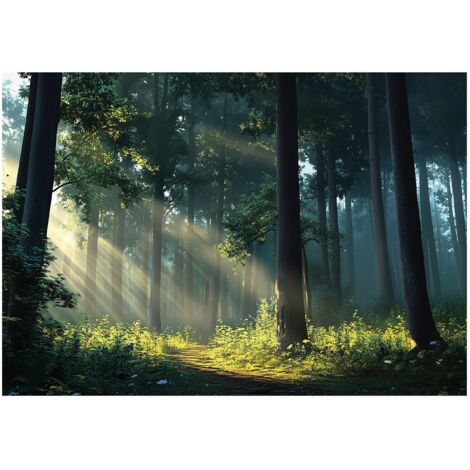 Papier peint panoramique forêt soleil arbres 3D nature 200x140 cm mural salon chambre déco murale