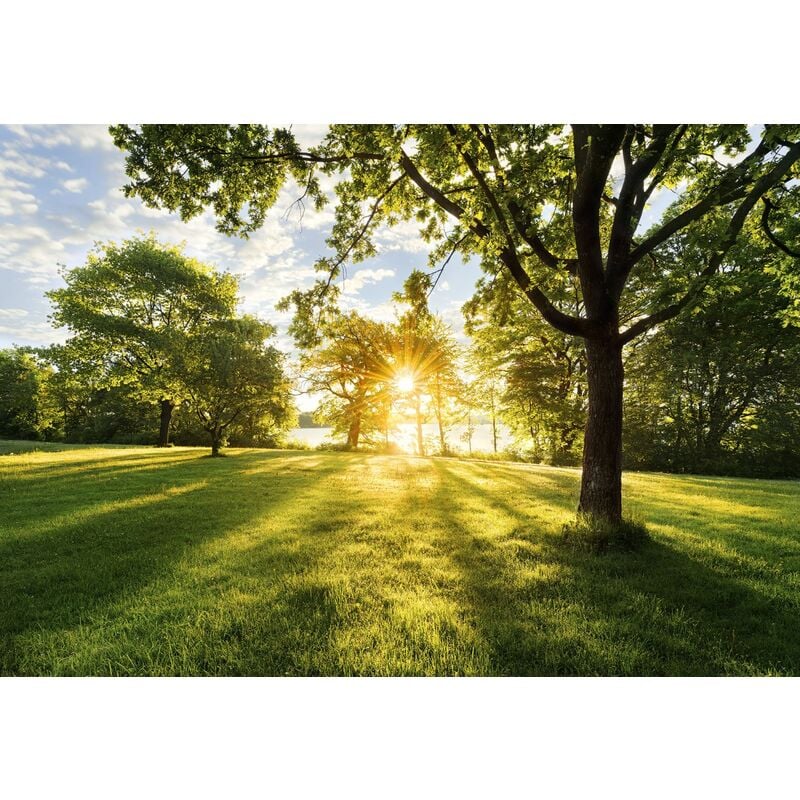 Komar - papier peint panoramique Golden Moment vert