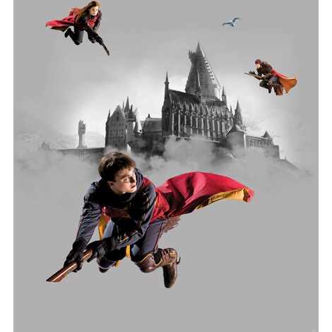 papier peint panoramique Harry Potter Poudlard gris et rouge  - Sanders & Sanders