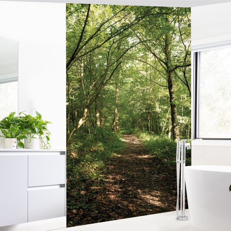 Papier peint intissé Forêt Panoramique 150 cm x 250 cm - Vue du sous-bois