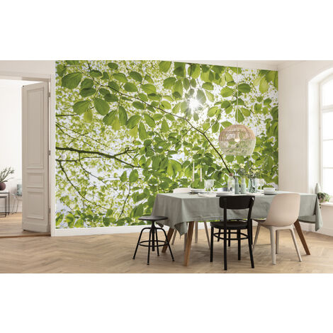 Papier peint panoramique intissée de Komar - Im Frühlingswald - Taille: 450 x 280 cm - vert