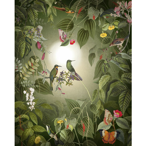 Papier peint panoramique intissée de Komar - Wildlife Birds - Taille: 200 x 250 cm - vert